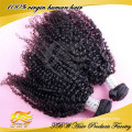 Grade 6A Full Cuticle 100% Unprocessed Virgin Russian Kinky Curly full fix hair